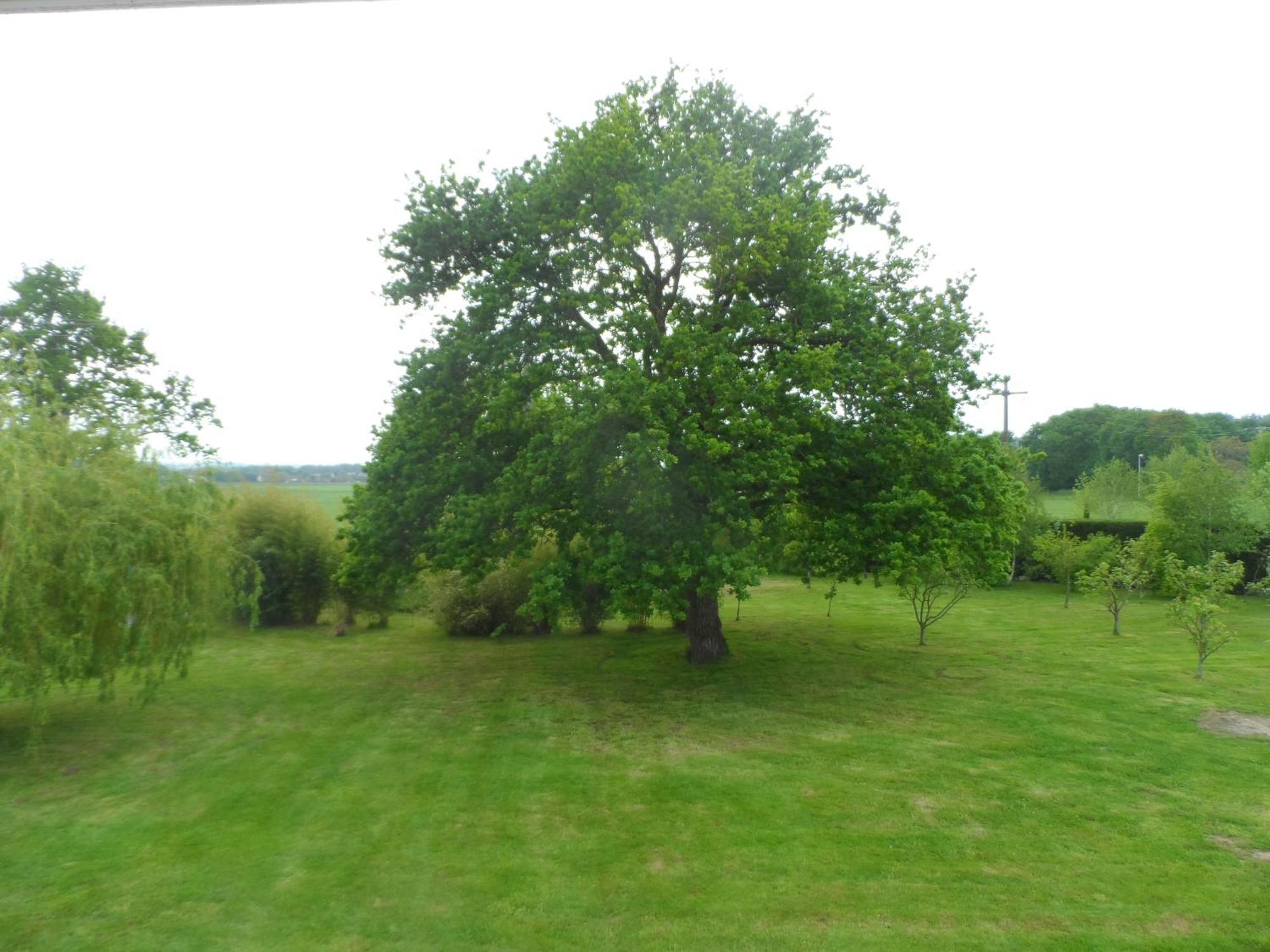 Bed and Breakfast Cafecouet'Breizh Guipry-Messac Zimmer foto